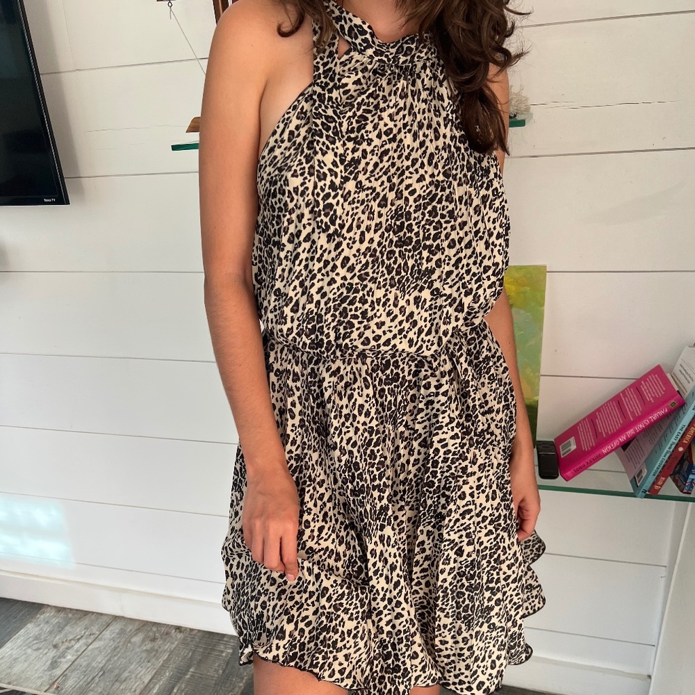 Leopard print dress